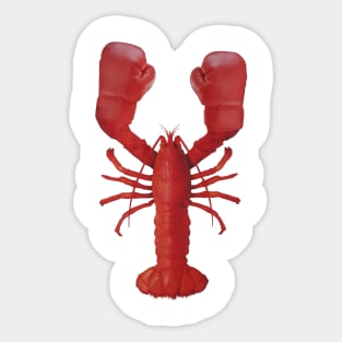Lobster Boxer Sticker